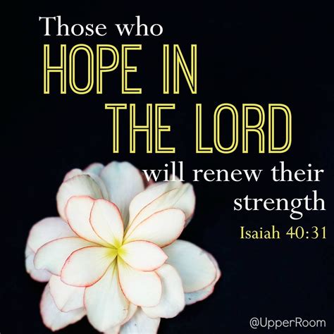 But Those Who Wait On The Lord Shall Renew Their Strength They Shall