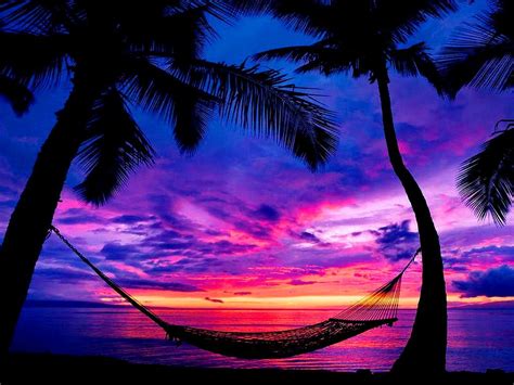 Fiji Hammock Beach Sunset Sunrise Sunset Purple Beach Sunset
