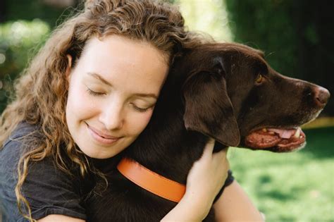 Dog Training Tips To Improve The Bond With Your Dog
