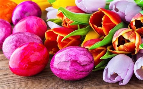 Easter Eggs Happy Easter Tulip Flowers Wallpaper Holidays