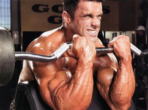 Here we explain the major skeletal muscles, muscle structure, fibre types, contractions and sliding filament theory. bodybuilding: The Way to Build Bicep Muscles That Rip ...