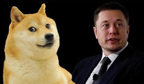 Dogecoin is another kind of cryptocurrency that started as a joke in 2013. Elon Musk Dogecoin yazması yetti! Yüzde 50 artış - Teknoküpür
