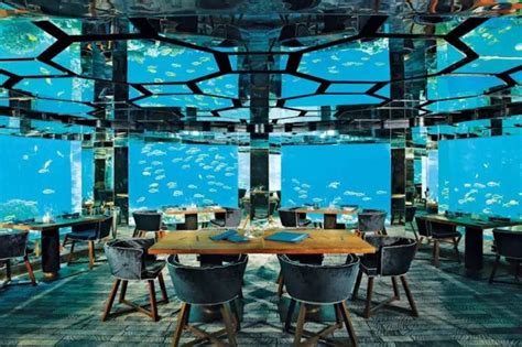 6 Underwater Restaurants In Maldives To Dine With The Fishes Fravel