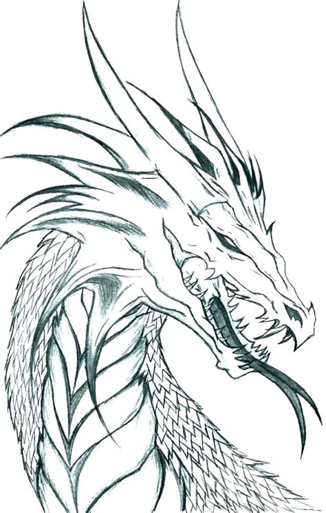 realistic free printable dragon coloring pages some of the dragon 95550 hot sex picture