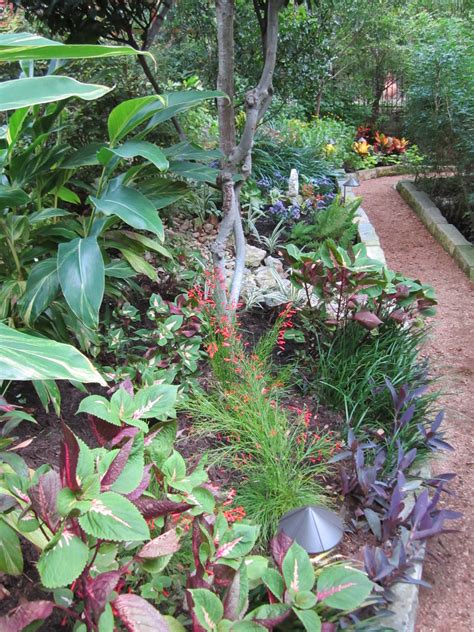Work the soil down three or four inches. Shade Plants for Central Texas | Lisa's Landscape & Design