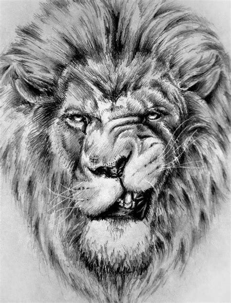 Lion Tattoo Drawing Pictures