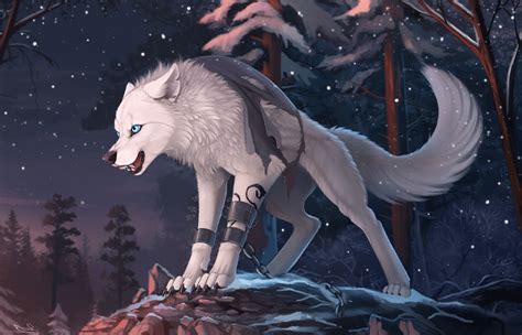 Anime Furry Wolf Wallpaper