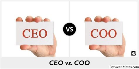 The board and the ceo have very different roles. CEO y COO - 2021 - NEGOCIO