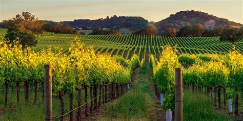 Sonoma Wine Country Stay Incl Extras Save 33 Travelzoo
