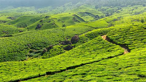 Top 25 Best Tourist Places To Visit In Kerala 2019 With Photos And Tips