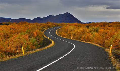 Myvatn Region Birch Forests In Fall Iceland Photography