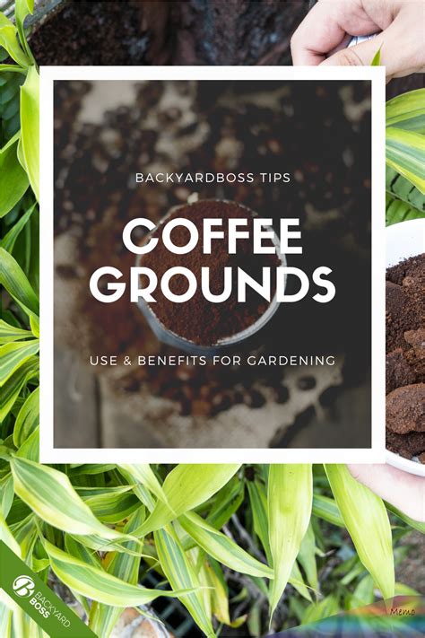 They enrich the soil with nitrogen, potassium and other minerals, improve soil quality, and plant growth. A guide to the multitude of uses for coffee grounds in ...