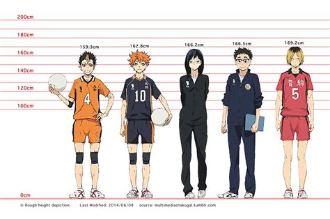 A full breakdown of the votes. ∑(˶⁰ ⁰˶ ) • Expanded Haikyuu!! Height Chart (2014/06/21)