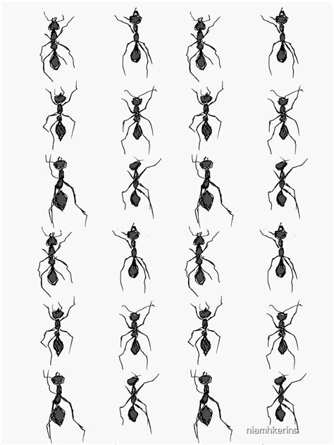 Ants Sticker By Niamhkerins Redbubble