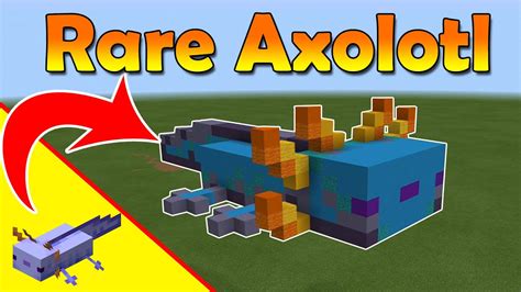 How To Get The Rare Axolotl In Minecraft