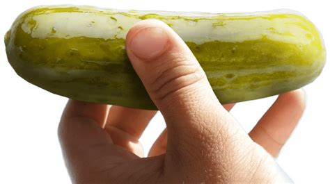 Collection Of Pickle Png Hd Pluspng