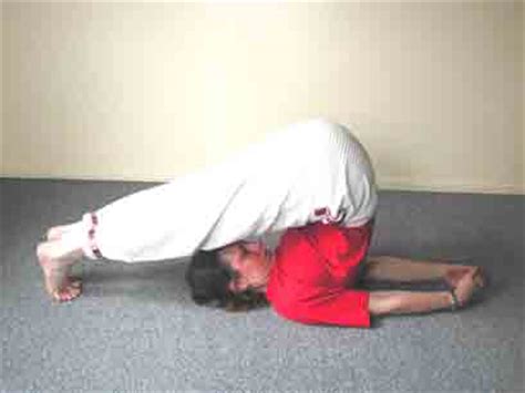 Maybe you would like to learn more about one of these? Yoga pose Halasana, fevrier 2004