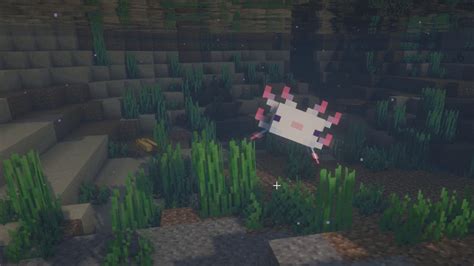 Minecraft Axolotl Guide How To Find Breed And Tame Focushubs