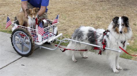 Photo Gallery 6 Custom Dog Carts Manufacturing And Selling The