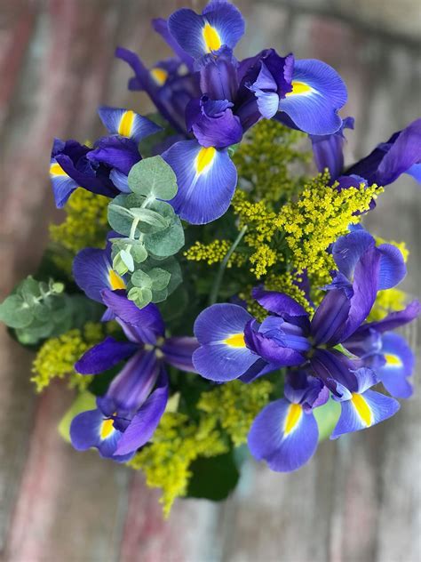 Kappa Kappa Gamma House Arrangement - Kappa Kappa Gamma, Sorority