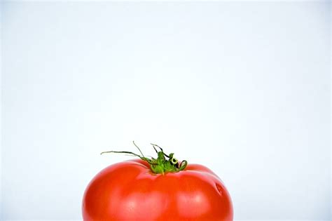 Tomato Vegetable Food Free Photo On Pixabay Pixabay