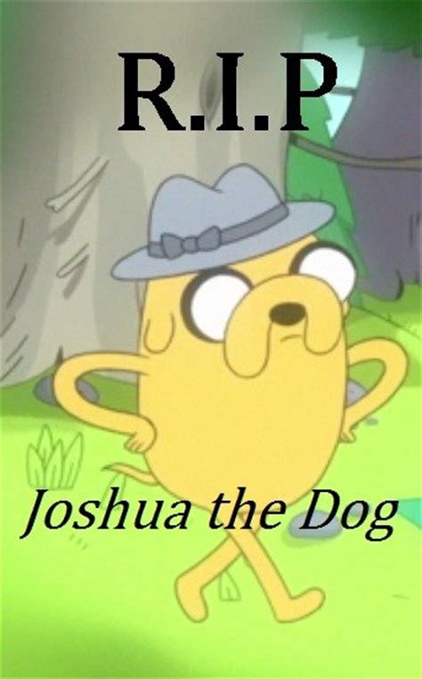 Rip Joshua The Dog