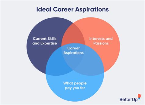Career Aspirations How To Describe Yours Tips And Examples
