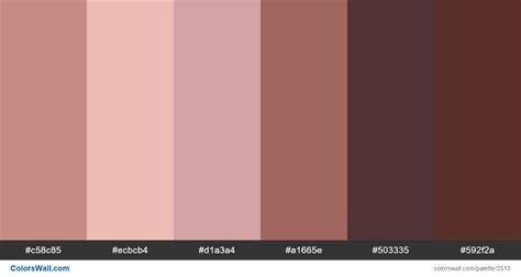Human Skin Tone Color Palette Hex Colors C58c85 Ecbcb4 D1a3a4