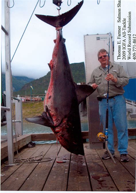 Biggest Fish In The World Caught On Rod And Reel Unique Fish Photo