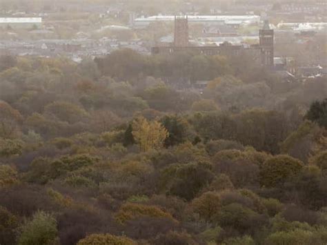 More Than One Million Trees To Be Planted Along M62 Corridor As Part Of