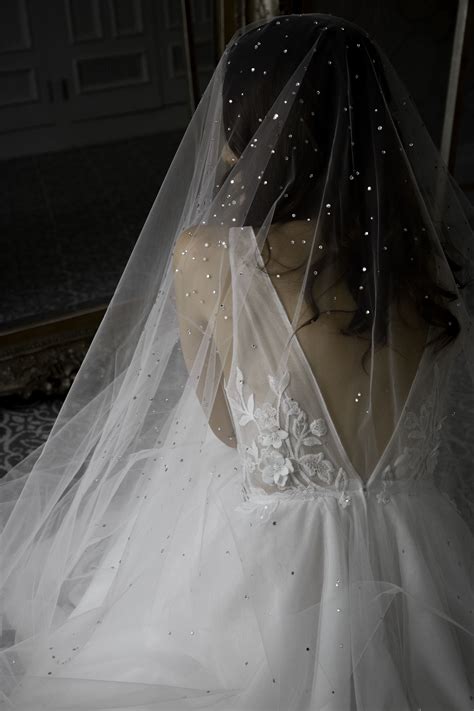 Glamour Cathedral Wedding Veil With Crystals Pretty Wedding Dresses Wedding Dress With Veil