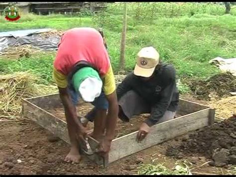 Terdapat pelbagai cara untuk membuat kompos. Cara membuat pupuk kompos - YouTube