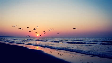 Sea Sunset Scenery Horizon Seascape 4k 3840x2160 93 Wallpaper