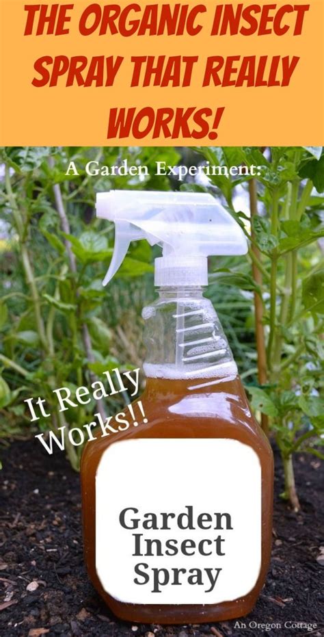 Homemade Natural Insect Repellent For Vegetable Garden 5