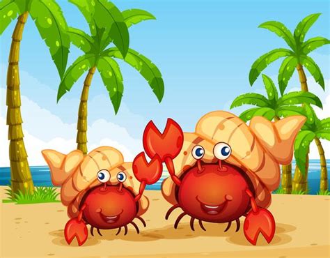Two Hermit Crabs On The Beach 414409 Vector Art At Vecteezy