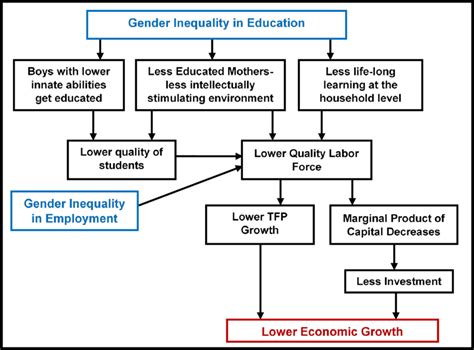 Gender Inequality In Education Selection Distortion And Environment