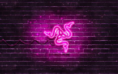 Purple Razer Wallpapers Top Free Purple Razer Backgrounds