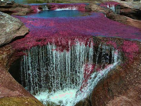 The River Of Five Colors Proof That Mother Nature Is An Artist