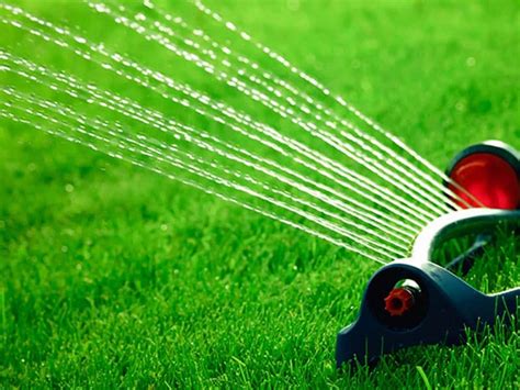 Watering Your Lawn Turfco