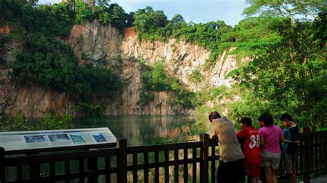 bukit timah nature reserve in singapur expedia de