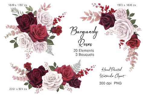 Watercolor Burgundy Floral Rose Clipart Graphic By Fineartlab