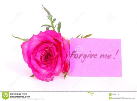 Forgive Me Concept Stock Photo Image Of Flower Rose 16647228