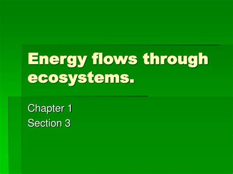 Ppt Energy Flows Through Ecosystems Powerpoint Presentation Free