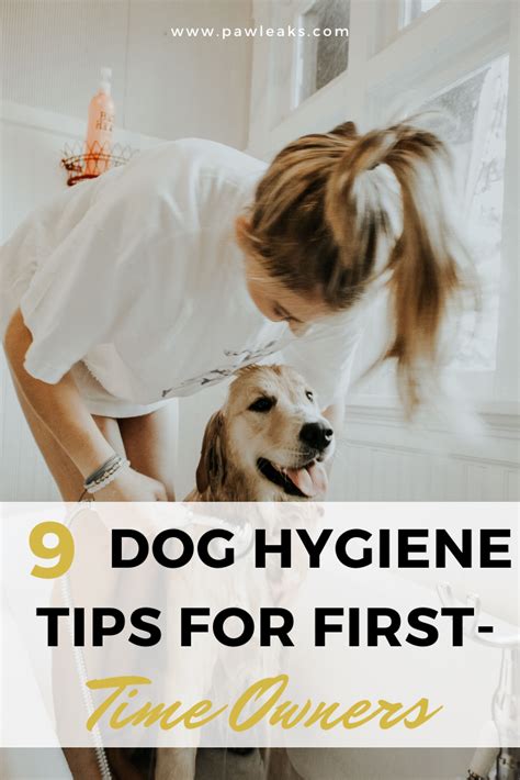 9 Dog Hygiene Tips For First Time Pet Parents Dog Care Tips Dog