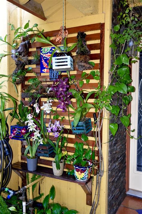 Orchid island roofing understands your needs for a leak free home. Orchid Wall - Tropical - Patio - Los Angeles - by Beth H.