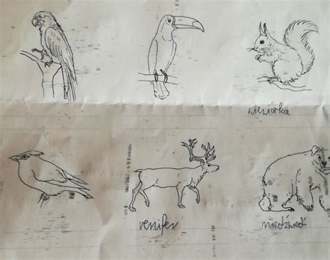 Rozpoznaj zwierzęta przedstawione na rysunkach Napisz do którego