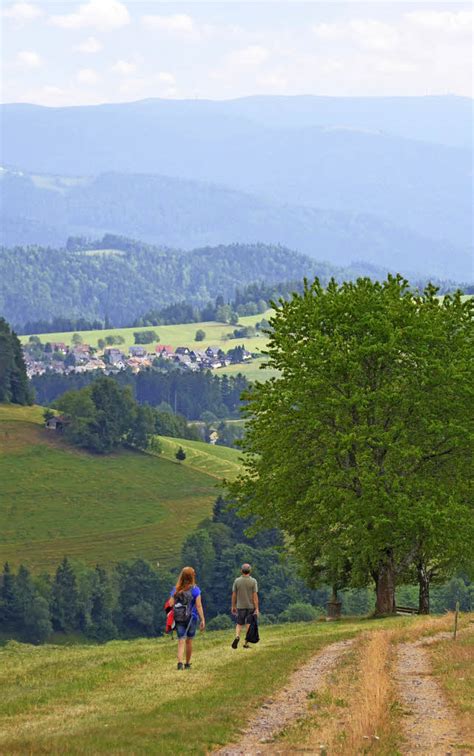 Check spelling or type a new query. Eine Wanderung rund um den Kandel - für Alleswoller ...