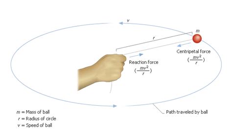 Centrifugal Force Free Body Diagram