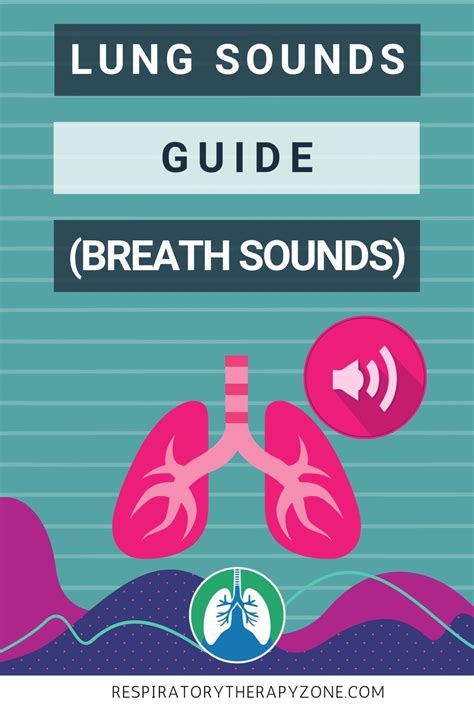 Breath Sounds The Ultimate Guide To Lung Sounds And Auscultation In
