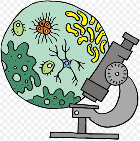 Microscope Science Drawing Stock Vector Art More Images Of Biology My